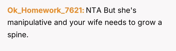 Ok_Homework_7621 NTA But she's manipulative and your wife needs to...