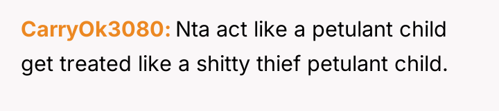 CarryOk3080 Nta act like a petulant child get treated like...