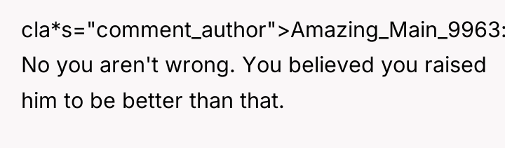 cla*s="comment_author">Amazing_Main_9963: No you aren't wrong. You believed you raised him...