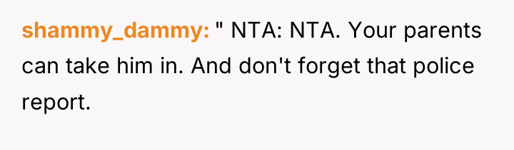 shammy_dammy " NTA: NTA. Your parents can take him in....