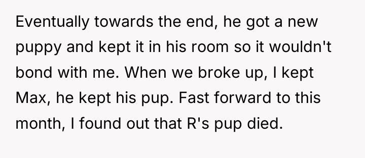 Eventually towards the end, he got a new puppy and...