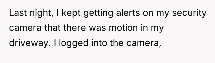 Last night, I kept getting alerts on my security camera...
