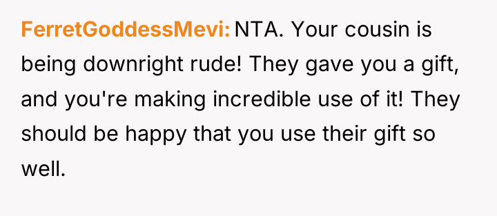 FerretGoddessMevi NTA. Your cousin is being downright rude! They gave...
