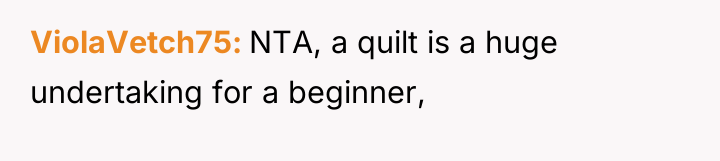 ViolaVetch75 NTA, a quilt is a huge undertaking for a...