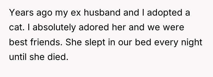 Years ago my ex husband and I adopted a cat....