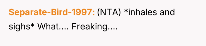 Separate-Bird-1997 (NTA) *inhales and sighs* What.... Freaking....