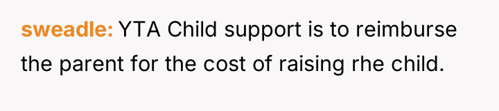 sweadle YTA Child support is to reimburse the parent for...