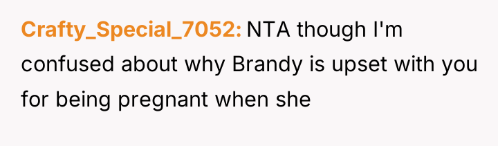 Crafty_Special_7052 NTA though I'm confused about why Brandy is upset...