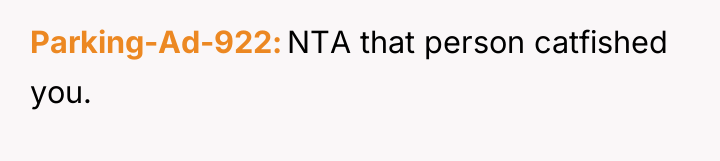 Parking-Ad-922 NTA that person catfished you.