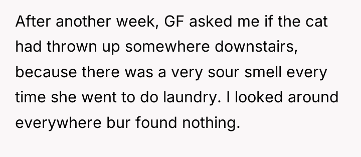After another week, GF asked me if the cat had...