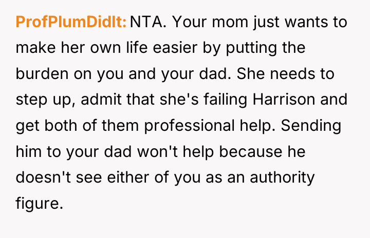 ProfPlumDidIt NTA. Your mom just wants to make her own...