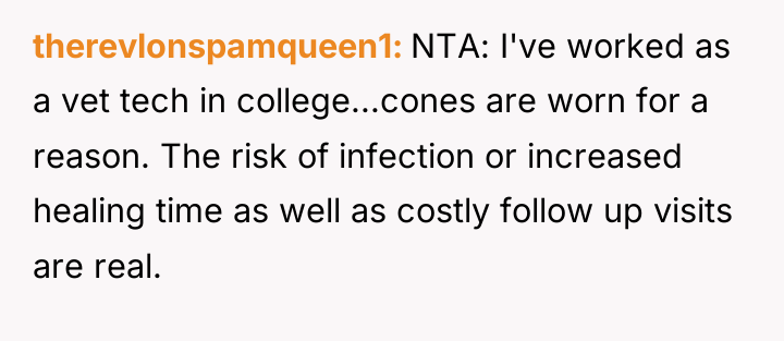 therevlonspamqueen1 NTA: I've worked as a vet tech in college...cones...