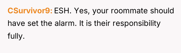 CSurvivor9 ESH. Yes, your roommate should have set the alarm....