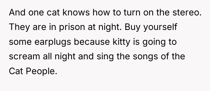 And one cat knows how to turn on the stereo....