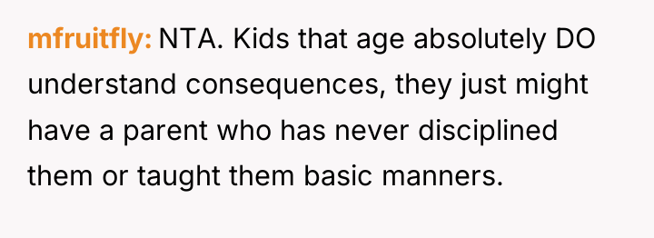 mfruitfly NTA. Kids that age absolutely DO understand consequences, they...