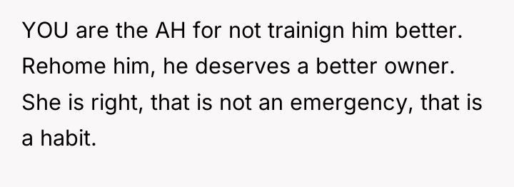 YOU are the AH for not trainign him better. Rehome...