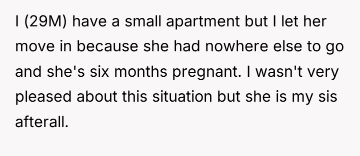 I (29M) have a small apartment but I let her...