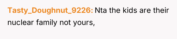 Tasty_Doughnut_9226 Nta the kids are their nuclear family not yours,