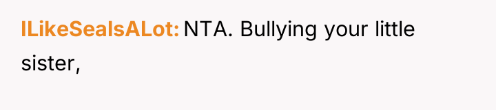 ILikeSealsALot NTA. Bullying your little sister,