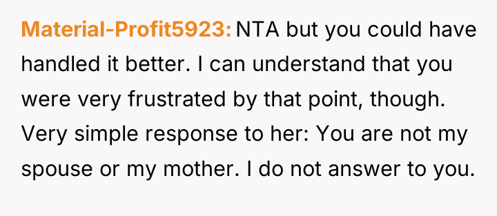 Material-Profit5923 NTA but you could have handled it better. I...