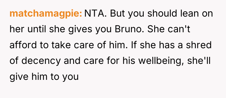 matchamagpie NTA. But you should lean on her until she...