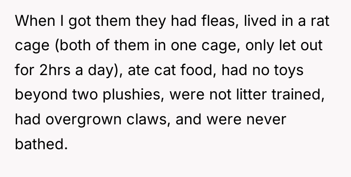 When I got them they had fleas, lived in a...