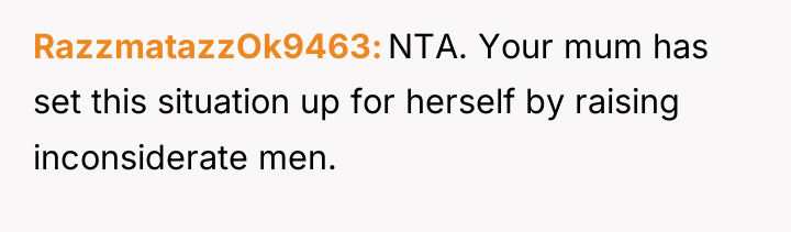 RazzmatazzOk9463 NTA. Your mum has set this situation up for...
