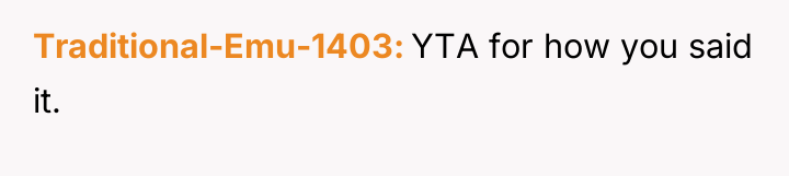 Traditional-Emu-1403 YTA for how you said it.