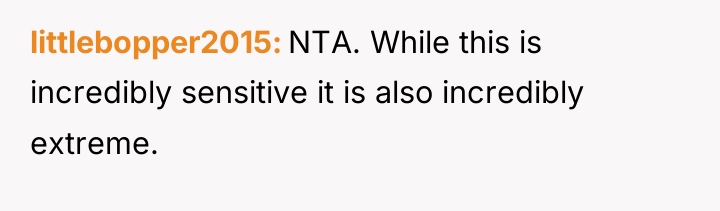 littlebopper2015 NTA. While this is incredibly sensitive it is also...