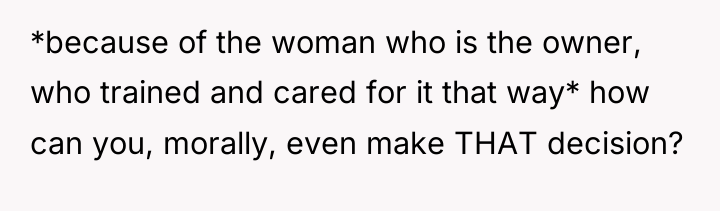 *because of the woman who is the owner, who trained...