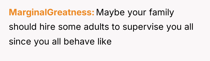 MarginalGreatness Maybe your family should hire some adults to supervise...