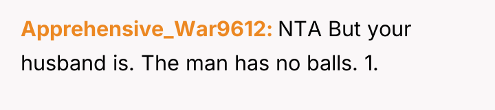 Apprehensive_War9612 NTA But your husband is. The man has no...