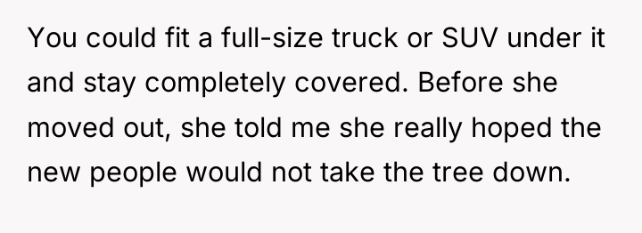 You could fit a full-size truck or SUV under it...