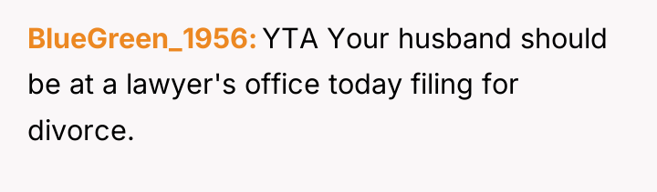 BlueGreen_1956 YTA Your husband should be at a lawyer's office...