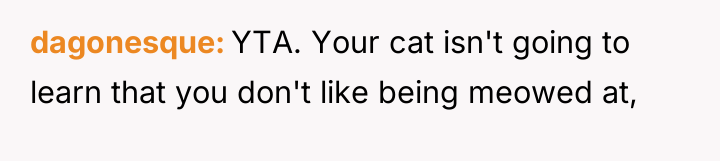 dagonesque YTA. Your cat isn't going to learn that you...