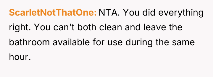 ScarletNotThatOne NTA. You did everything right. You can't both clean...
