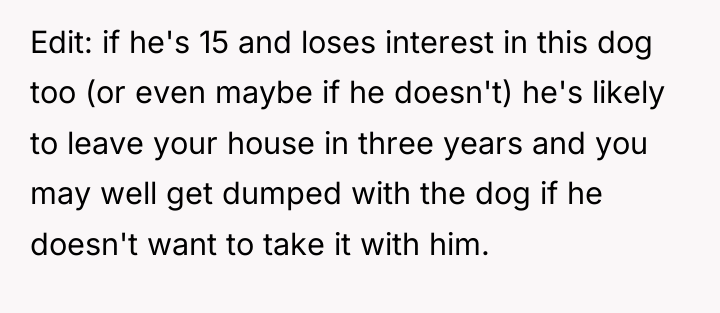 Edit: if he's 15 and loses interest in this dog...