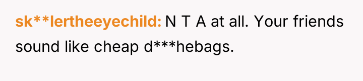 sk**lertheeyechild N T A at all. Your friends sound like...