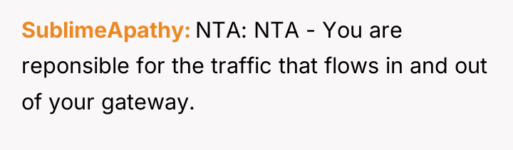 SublimeApathy NTA: NTA - You are reponsible for the traffic...