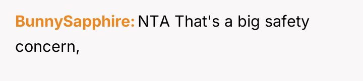 BunnySapphire NTA That's a big safety concern,