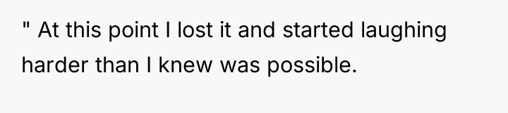 " At this point I lost it and started laughing...