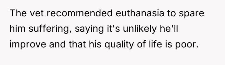 The vet recommended euthanasia to spare him suffering, saying it's...