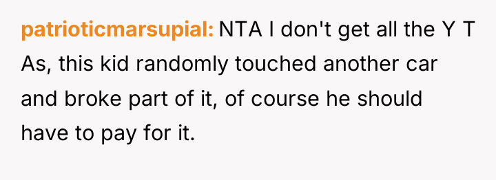 patrioticmarsupial NTA I don't get all the Y T As,...