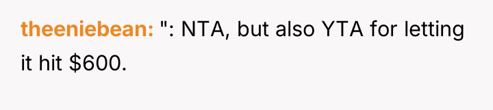 theeniebean ": NTA, but also YTA for letting it hit...