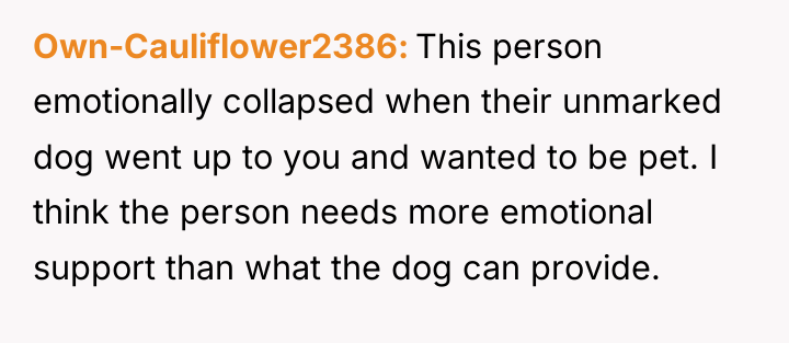 Own-Cauliflower2386 This person emotionally collapsed when their unmarked dog went...