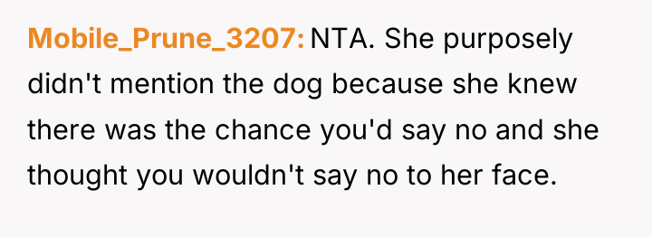 Mobile_Prune_3207 NTA. She purposely didn't mention the dog because she...