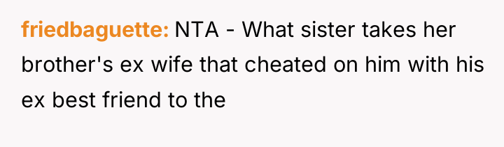 friedbaguette NTA - What sister takes her brother's ex wife...