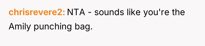 chrisrevere2 NTA - sounds like you're the Amily punching bag.
