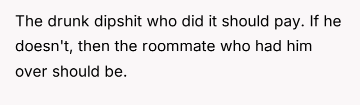 The drunk dipshit who did it should pay. If he...