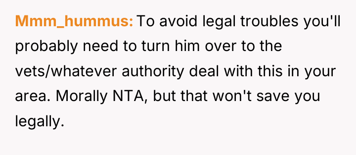 Mmm_hummus To avoid legal troubles you'll probably need to turn...
